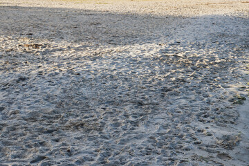 late afternoon beach sand landscape with long shadows