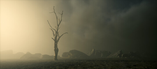 Dead tree in misty barren rocky landscape with cloudy sky.