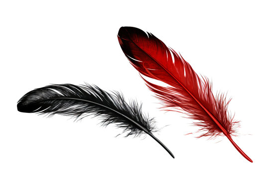 High-resolution image of a black feather with red tips isolated on a transparent background