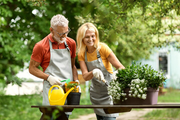 Happy Mature Couple Planting Flowers Together Outdoors In Garden