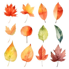 Watercolor painting Realistic Autumn natural leaves set botanical on white background.
