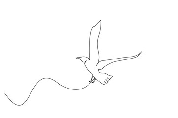 Obraz premium flying bird animal line art design