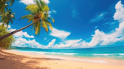 Fototapeta na wymiar Seascape tropical beach with white sand and palm tree leaning towards turquoise water of ocean on bright hot sunny day. Blue sky with clouds. Summer vacation.