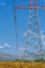 Electric tower in clear blue sky in filld