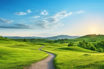 Foto op Plexiglas Weide A green grass field in hilly area in morning at dawn against blue sky with clouds. Natural panoramic spring summer landscape with winding path.