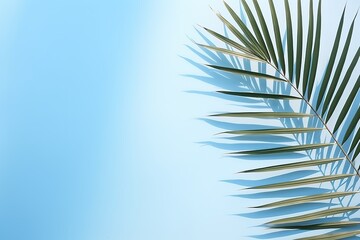 Palm leaves on the light blue wall. Minimal abstract background for product presentation with blurred shadow. Spring and summer.