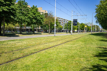 Tram trackscovered with grass in Rotterdam Netherlands city cent