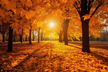 Golden autumn landscape with yellow trees and sun