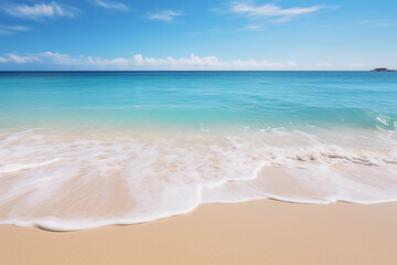 Fototapeta na wymiar Tropical Beach Paradise with Clear Blue Water