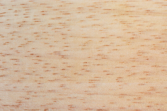 close-up macro view of rubber wood surface, environmentally friendly treated hardwood background texture, wood grain and porous are visible 