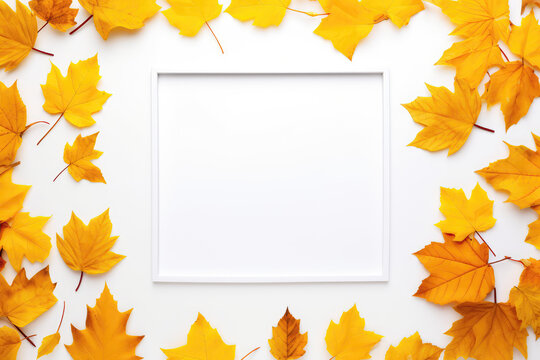 A White Square Frame Surrounded By Yellow Leaves. Сoncept White Squares Frames, Yellow Leaves, Artistic Fall Decor, Diy Frames