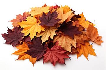 Naklejka na ściany i meble Pile Of Fall Leaves On White Background . Сoncept Autumn Decorating Ideas, Creative Uses For Fall Leaves, Fall Photography Inspiration, Lowcost Autumn Projects