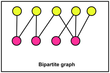 Bipartite graph. Graph whose vertices can be divided into two disjoint and independent sets