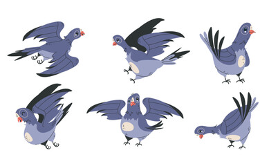 Pigeon peace bird cute dove different pose isolated set. Vector flat graphic design illustration