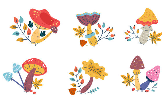 Autumn cartoon mushroom forest cute drawing isolated set. Vector flat graphic design illustration