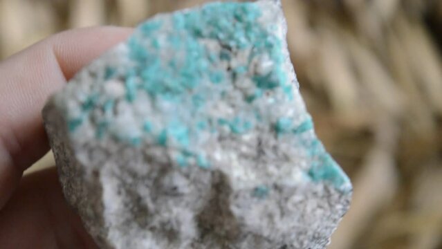 Dioptase mineral specimen on collection 