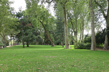 Le parc des Carmes, parc public, ville de La Fleche, département de la Sarthe, France