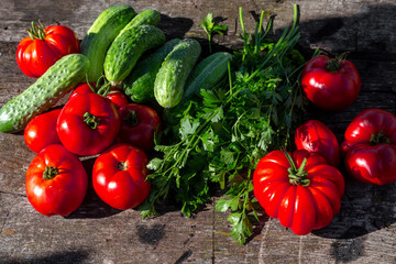 Fresh tomatoes, cucumbers and parsley on an old wooden table. Summer harvest in the garden