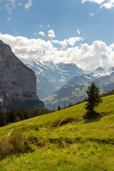 Fototapeta premium Swiss Alps in Switzerland in the Summer with Mountains Peaking Through Clouds in the Background