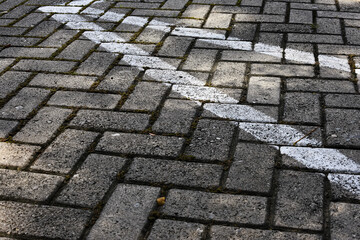 White line on the road surface.