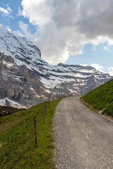 Path Leading Up the Swiss Alps in the Summer with Mountains in the Background in Switzerland