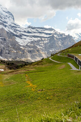 Pathway Leading Up the Swiss Alps in the Summer with Mountains in the Background in Switzerland
