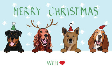 Merry Christmas postcard with dogs peeking out from the wall. Dog head with paws. Creative Happy Dog Christmas Card for puppy lovers. Mixed-Breed dog in Santa hat. Winter, Holiday character. Setter.