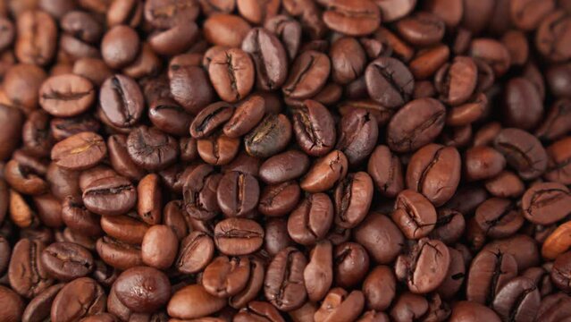 Many coffee beans vibrate during sorting, close-up, shallow depth of field.