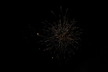 Obraz premium Fireworks sparkles on a black night sky