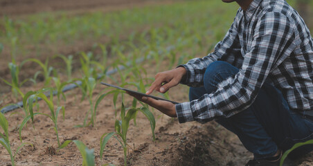 In the Industrial Greenhouse Two Agricultural Engineers Test Plants Health and Analyze Data with Tablet Computer.