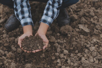 Symbol heart earth day. Handful of dirt hands heart shape. Farm organic earth. Farmer hands soil ground earth dirt garden soil farm ground. Male hands full of fertile land field agriculture concept