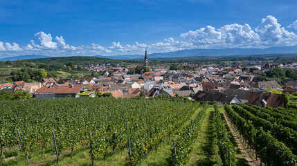 View on wine town Ihringen, Kaiserstuhl (Vogtsburg). Rhine plain, Baden Wuerttemberg, Germany, Europe - obrazy, fototapety, plakaty