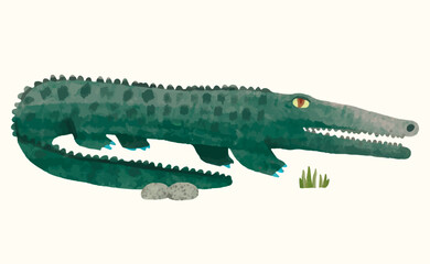 Crocodile, Animal wildlife watercolor vector illustration.