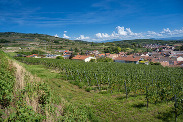 Fototapeta na wymiar View on wine town Ihringen, Kaiserstuhl (Vogtsburg). Rhine plain, Baden Wuerttemberg, Germany, Europe