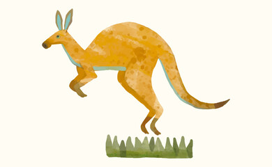Kangaroo, Animal wildlife watercolor vector illustration.