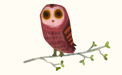 Owl, Animal wildlife watercolor vector illustration.