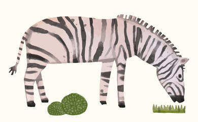 Zebra, Animal wildlife watercolor vector illustration.