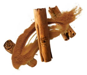 Fresh dried raw Cinnamon stick falling in the air