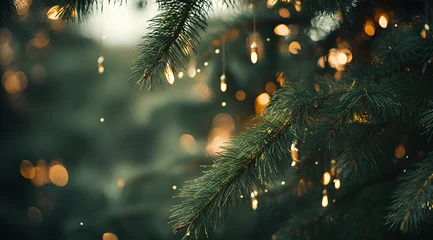 Abwaschbare Fototapete Christmas tree background © MOUNSSIF