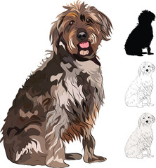 Brown sitting Wirehaired Pointing Griffon detailed drawn dog. Logo design, dog silhouette, and outlines, dog stroke. Pet character postcard art. Funny dog studio mascot. Detailed pet illustration. 