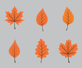 Autumn leaves. Collection. Vector graphics on gray background