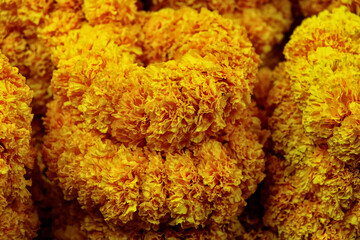 A close-up of orange marigold flowers. The flowers are densely packed together and in full bloom....