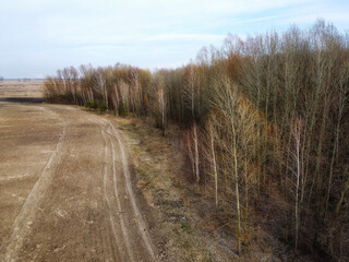 A bird's-eye view unveils the enchanting synergy of an agricultural field and a neighboring forest,...