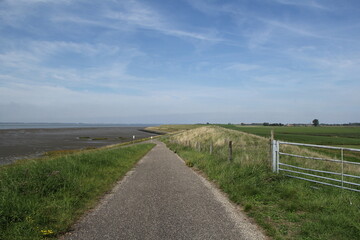 a road on top of the seawall at the dutch coast in zeeland with a view at the westerschelde sea and the beach and mudflats and a blue sky 