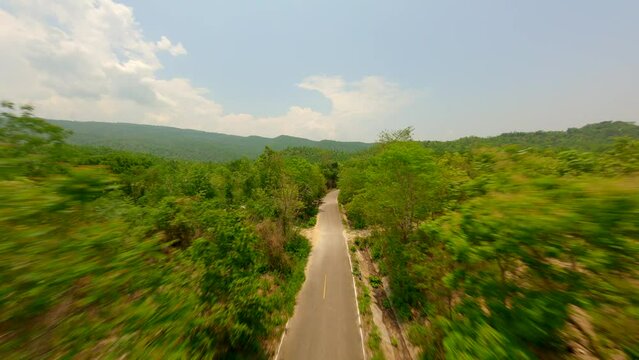 Fast FPV drone flight over the road in the middle of a summer forest on a sunny day.