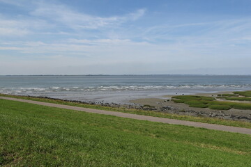 a seascape of the dutch coast in zeeland with a road at the seawall in front of the westerschelde sea and a tidal salt marsh with grass humps and mud with upcoming tide