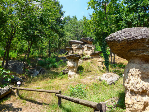 Mushroom shaped geological rock formations in the Ciciu del Villar Nature Reserve Park, Villar San Costanzo, Piedmont, Italy. Famous peculiar granite rocks close to Cuneo town. Pyramids of the earth