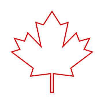 vector illustration of a canada maple leaf	
