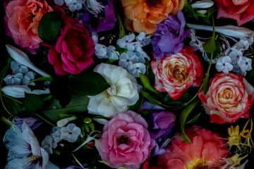 Multicolored flowers on a black water background, top view. floral backdrop