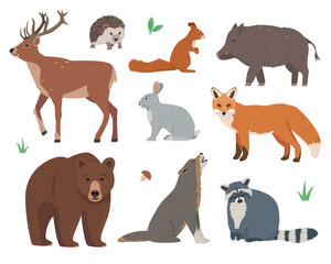 Wild forest animals set. Deer, hedgehog, fox, wolf, hare, squirrel, raccoon, boar and bear icons. Vector illustration isolated on white background.